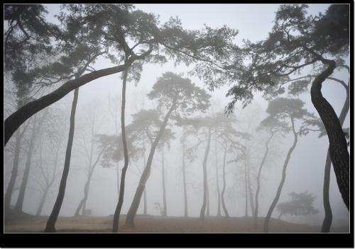 늦은 가을 아침에
