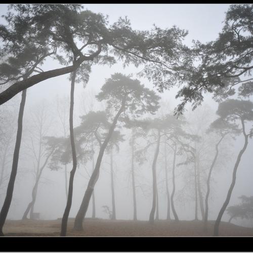 늦은 가을 아침에