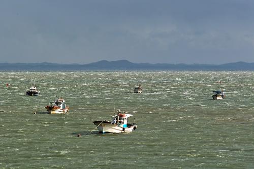 외연도 갈뻔한 출사 사진