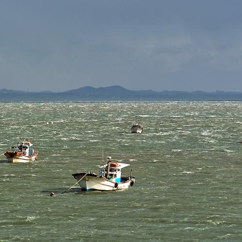 외연도 갈뻔한 출사 사진