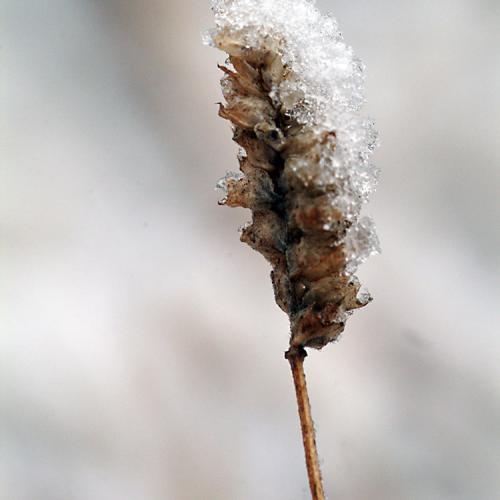 오늘 아침엔149-3탄