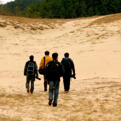 무엇을  찿으려...