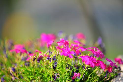 새로 개장한 수목원에서...