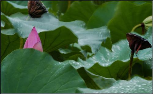 여름의 끝자락에서