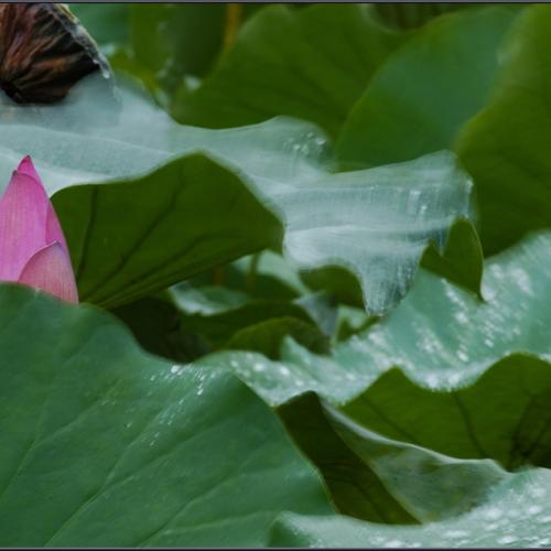 여름의 끝자락에서