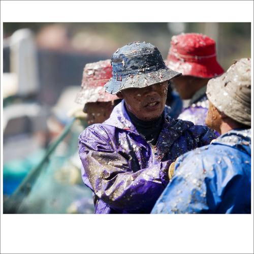 기장에는 멸치가 춤을춘다