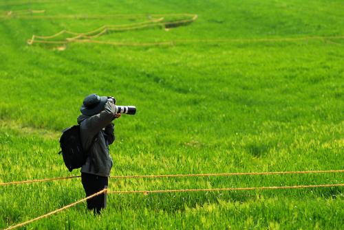 보리밭에 간 사람들~`