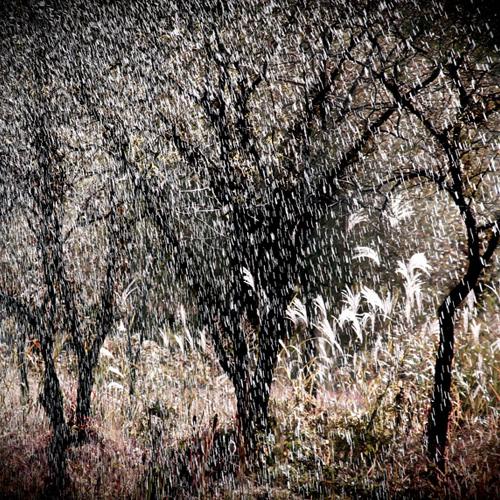 분수커튼속의 가을