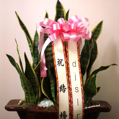 두기와 명희네 집들이 - [테러샷]