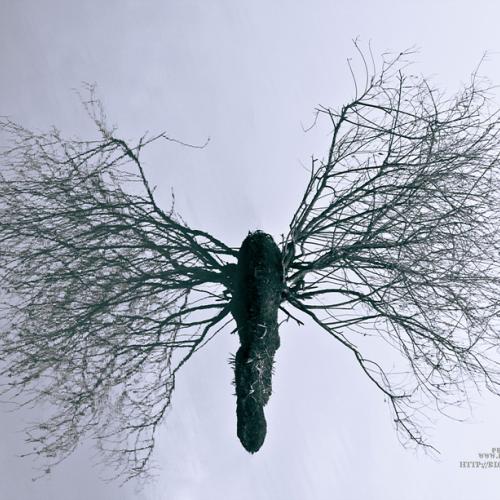 한 마리 나비되어...