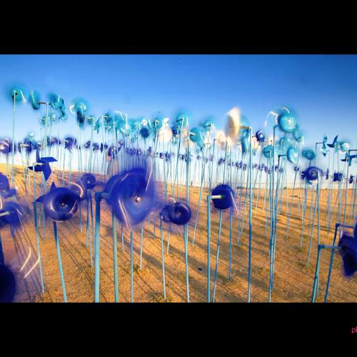 바람 불던 어느날