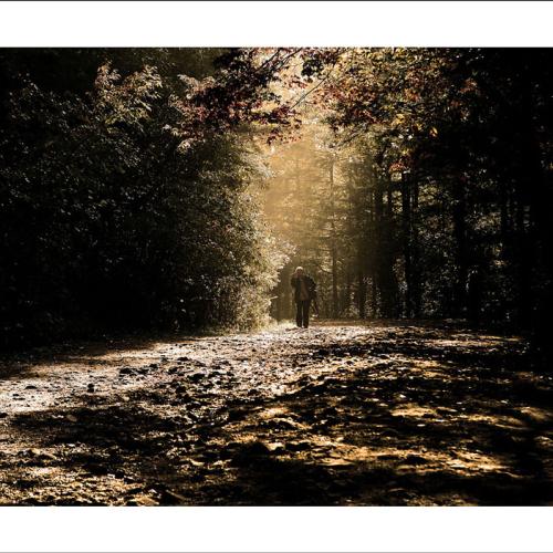 주산지 아침소경