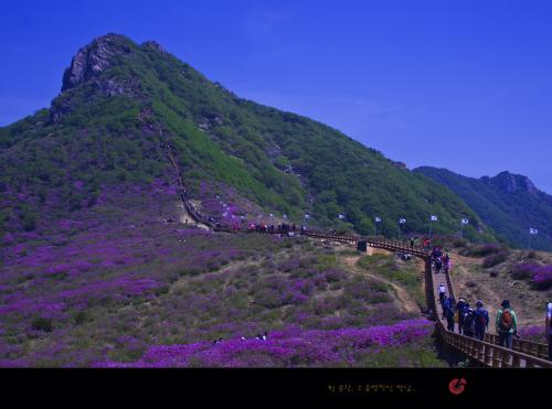 철쭉제 산행중에서