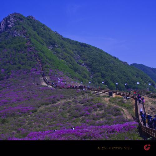 철쭉제 산행중에서