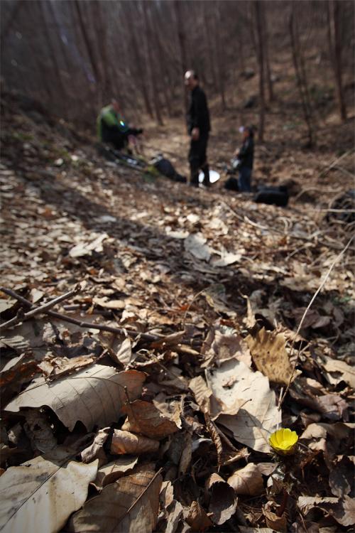 화암사에 다녀오긴 했는데....