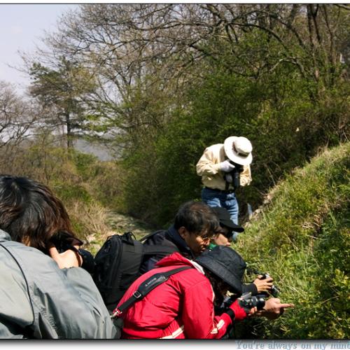 맨 뚝에 헤딩하기...
