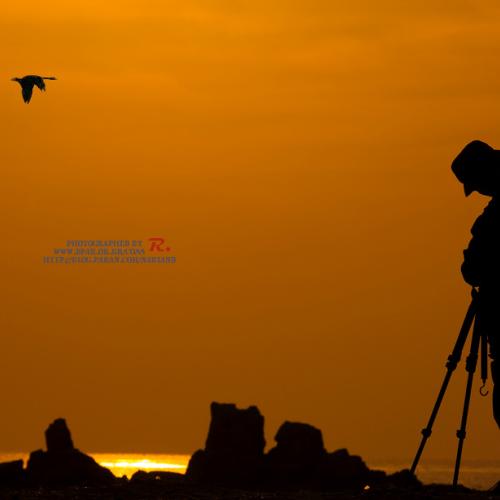 아름다운 모습...