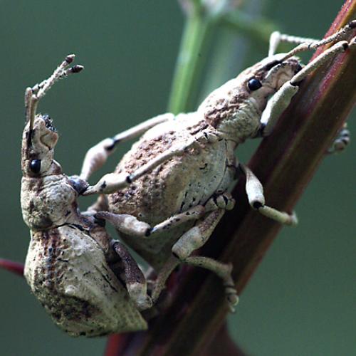 오늘 아침엔175-2탄(어부바?)