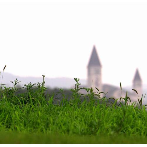 작년여름의추억