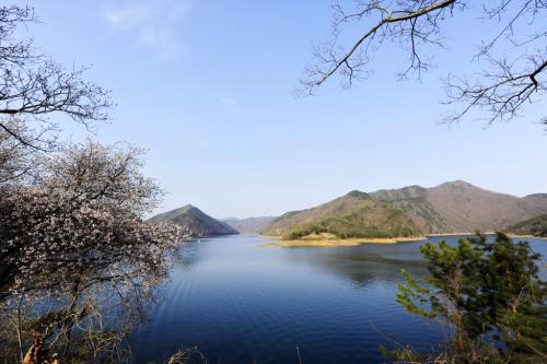 대청호의 봄기운...