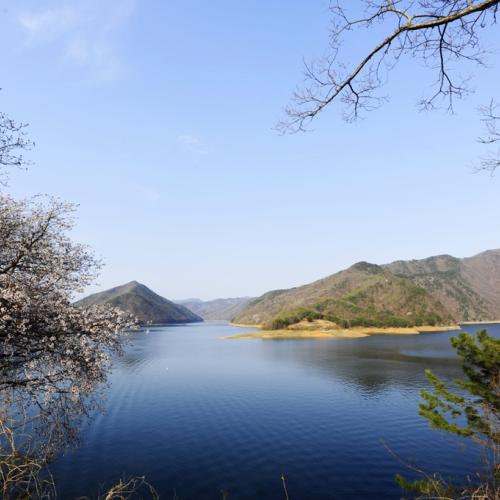 대청호의 봄기운...