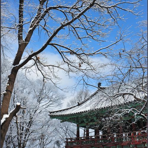 누각이 있는 겨울풍경