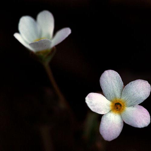 오늘 아침엔205탄(여러가지 그리고 팁)