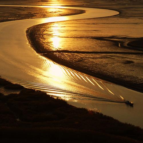 순천만 S 커브의 일몰