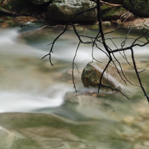 빗속에서 동학사