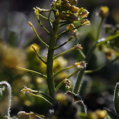 오늘 아침엔150-2탄