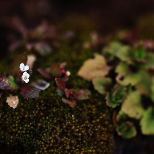 봄은 아직 멀었네요.^^