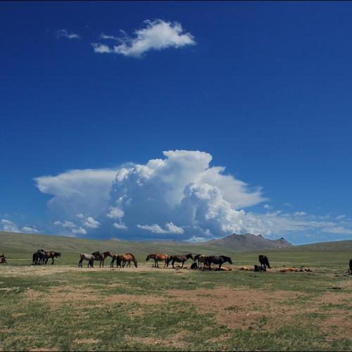 몽골.초원.하늘.구름.말. 그리고...