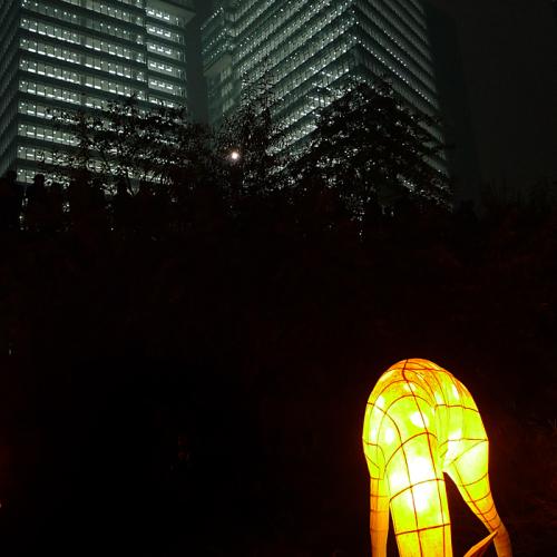 목마른 사슴 도시를 찾다