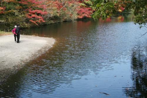 10월 정출 - 선운산