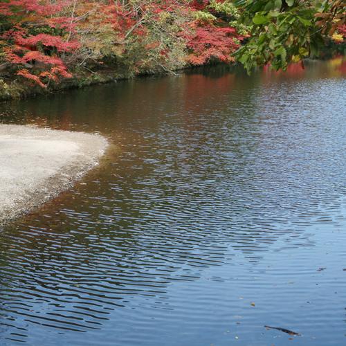 10월 정출 - 선운산