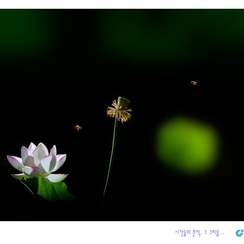 또 다른 날을 위하여