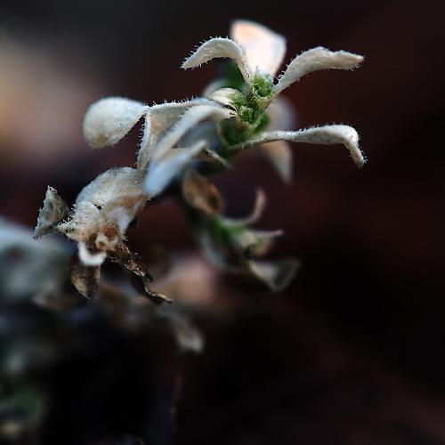 오늘 아침엔151탄