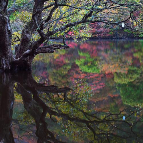 가을 색의 아름다음