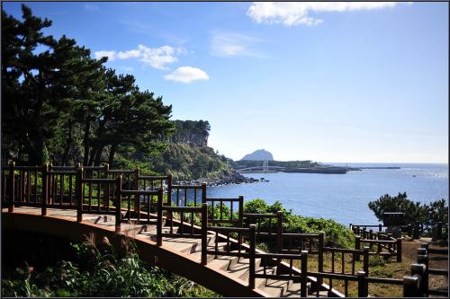 올레길을 걸으며