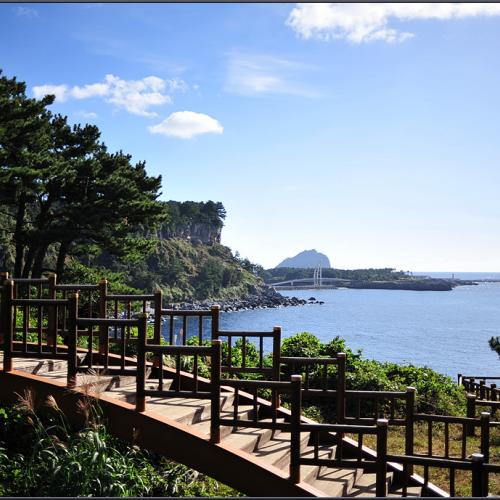 올레길을 걸으며