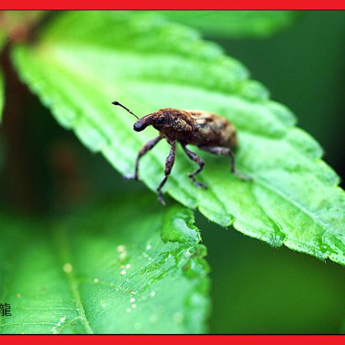 오늘 아침엔 83탄