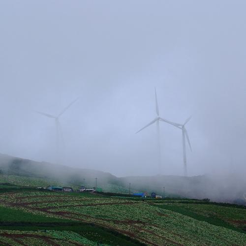 매봉산 풍력발전