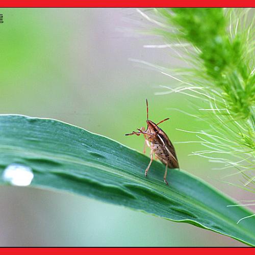 오늘 아침엔83-2탄