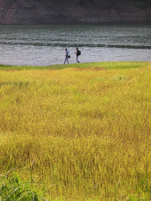 바이런님 아이스님...