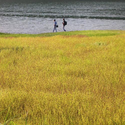 바이런님 아이스님...