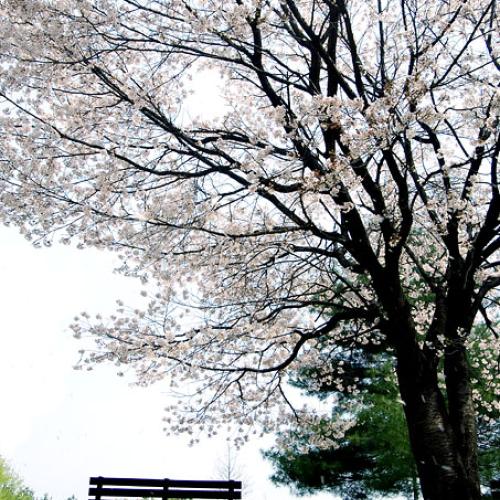 잠시 휴식을 취하고 싶다...