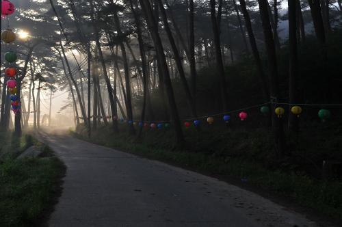 안면암  가는길...