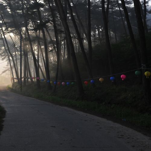 안면암  가는길...