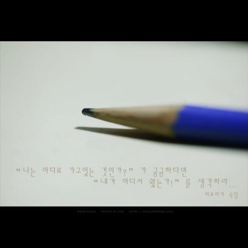 요즘 심심합니다...