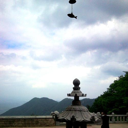 아이쇼핑님(폰사진)